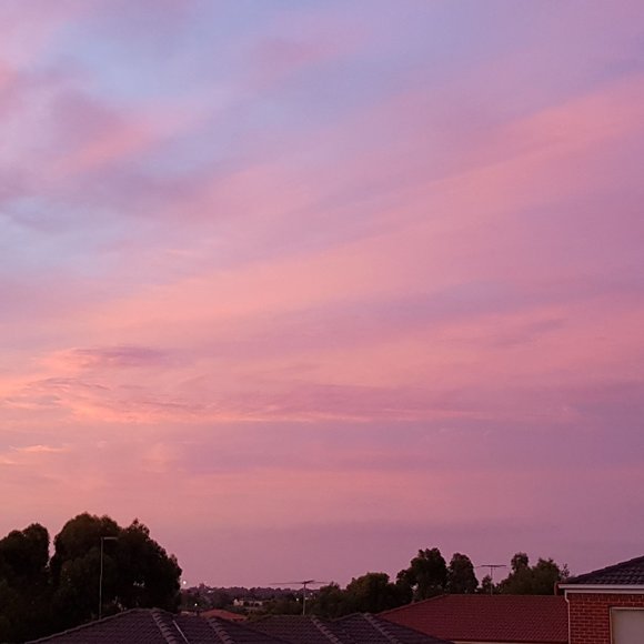 Meet your Posher, Khaled - Picture 3 of 9